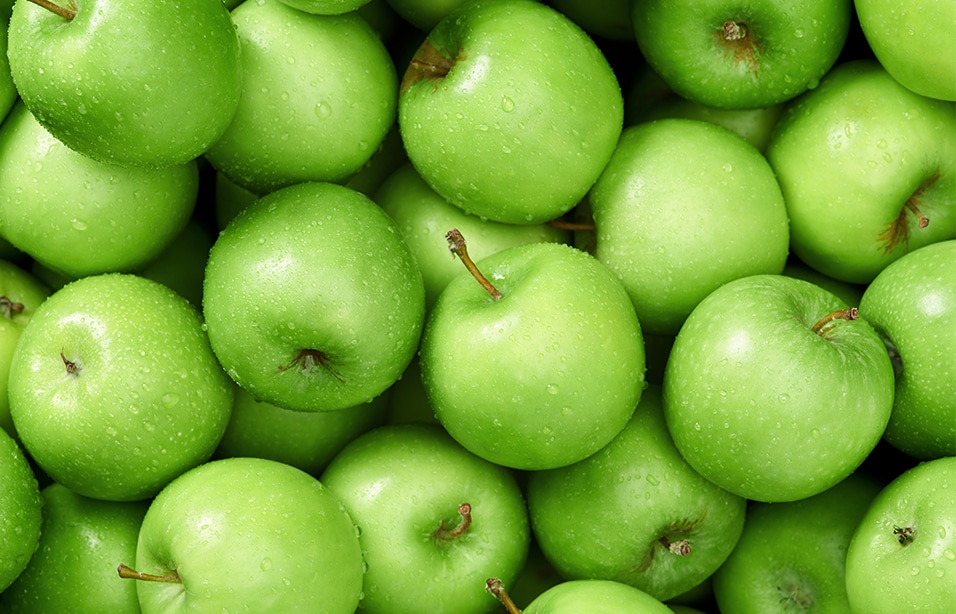 Encapsulation Resins: It is simply not a case of comparing apples with apples featured Image